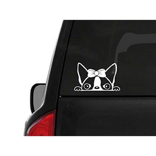 Cat Peering into Fish Bowl small light switch Sticker Car Decal
